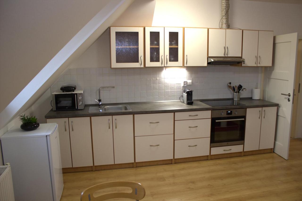 U Lva Apartment
